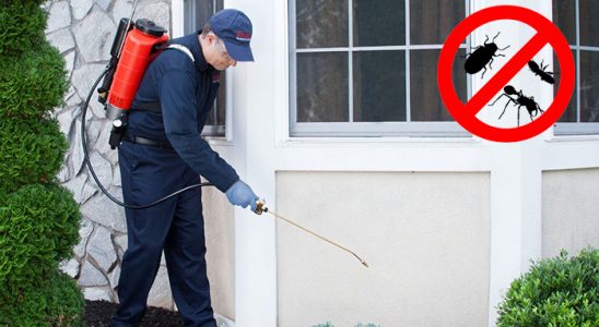 Boyabat Fare İlaçlama böcek ilaçlama ve haşere kontrolü — ilaclama-tr.com
